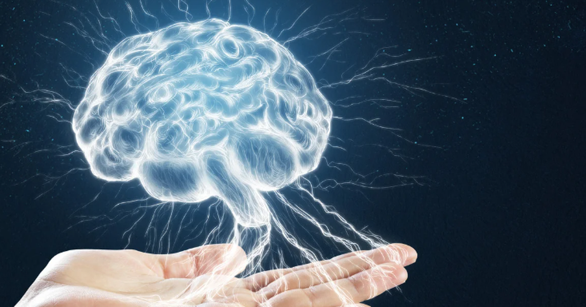 Đột phá: Nuôi cấy thành công não người thu nhỏ