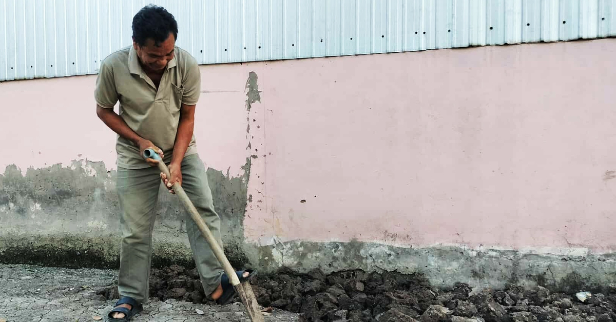 Nộp tiền 2 tháng nhưng nông dân Cà Mau vẫn chưa nhận được lúa giống