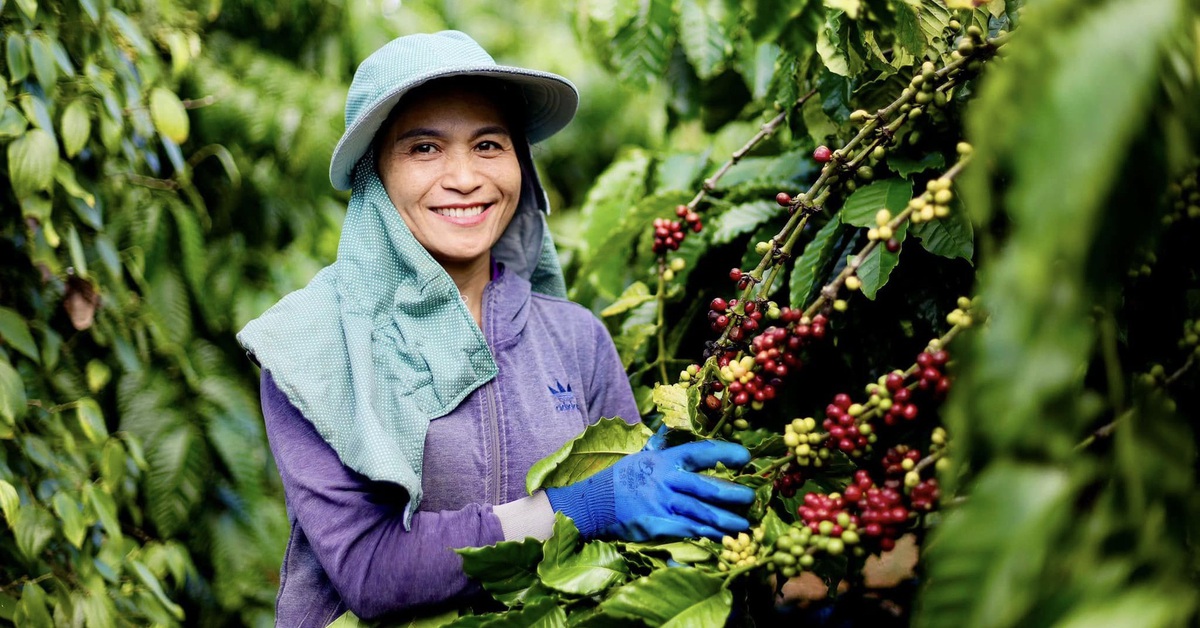 Việt Nam lên kế hoạch làm ít nhất 15 mô hình sản xuất nông nghiệp giảm phát thải