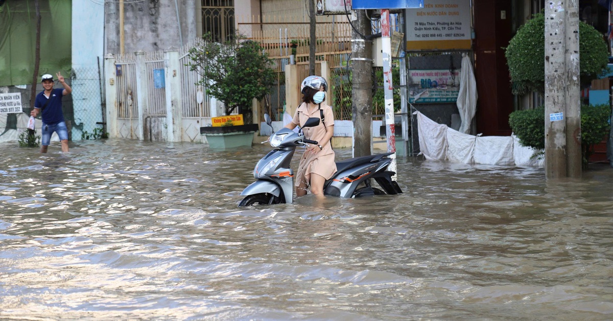 Sau treo thưởng 50 triệu của chủ tịch Cần Thơ, có nhiều hiến kế chống ngập 'độc lạ'