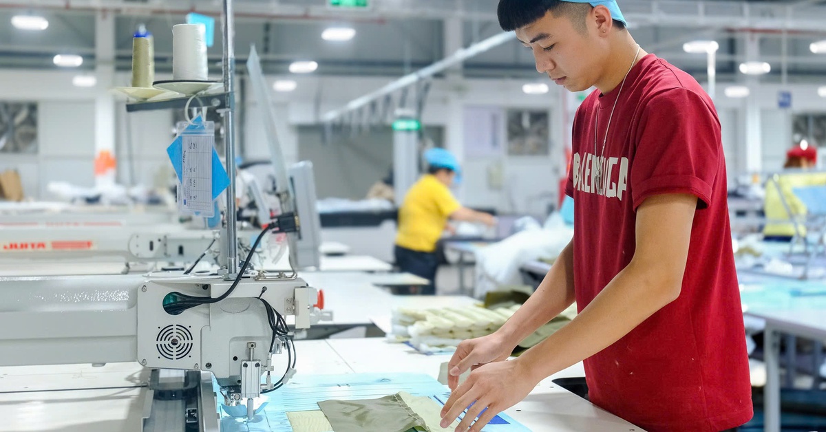 Trường dạy gì để sinh viên đáp ứng kỳ vọng của doanh nghiệp ngoại?