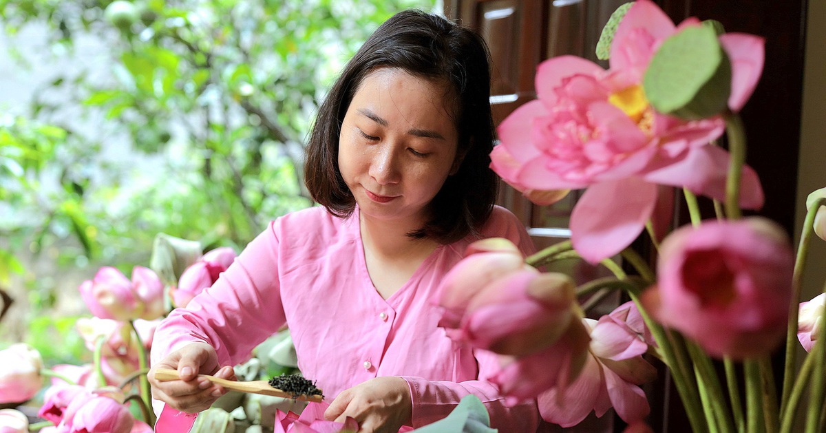 Sen Bách Diệp hồ Tây hồi sinh