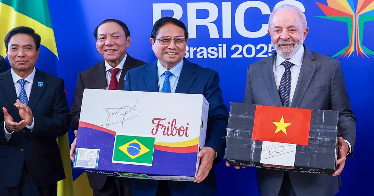 Việt Nam xuất khẩu cá tra, ba sa và rô phi sang Brazil, hướng tới thương hiệu cà phê chung