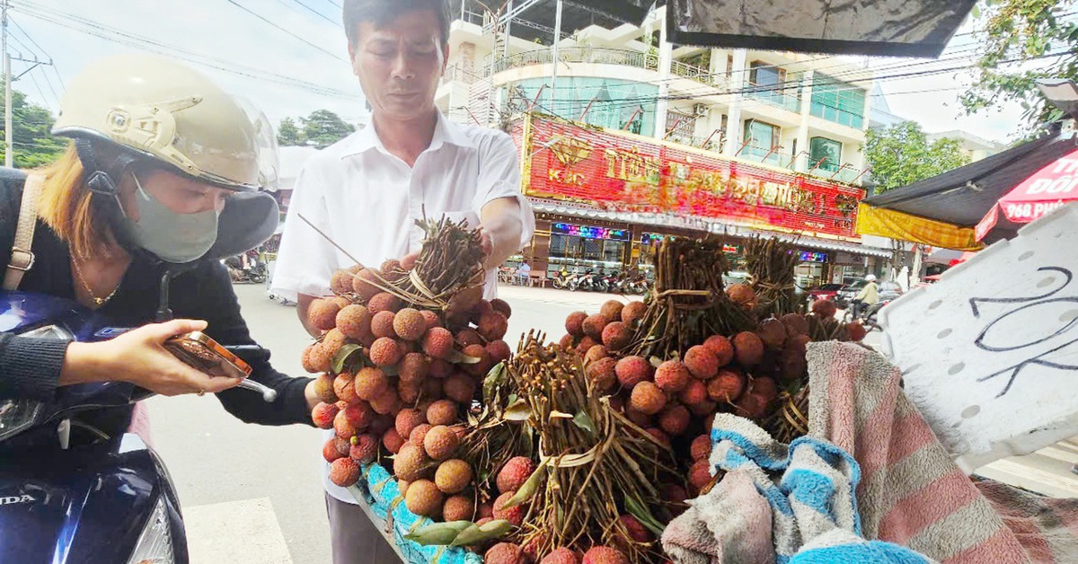 Giá nhiều loại trái cây ở mức thấp