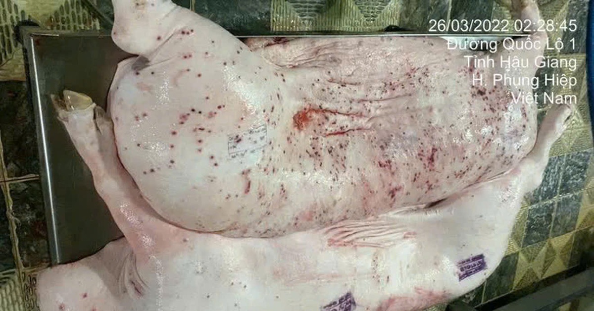 tuoitre.vn