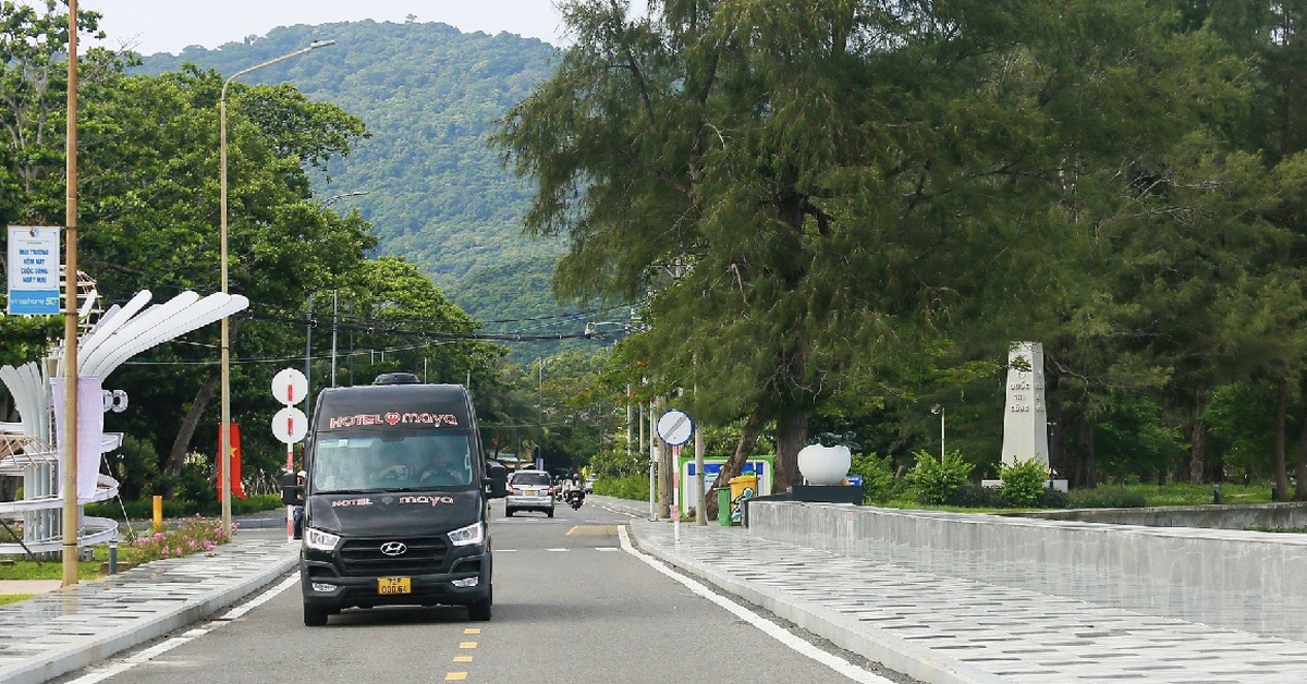 Khẩn trương nghiên cứu kinh nghiệm quốc tế, áp dụng chuyển đổi xanh ở Cần Giờ, Côn Đảo