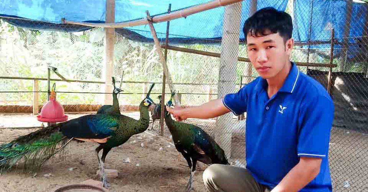 tuoitre.vn