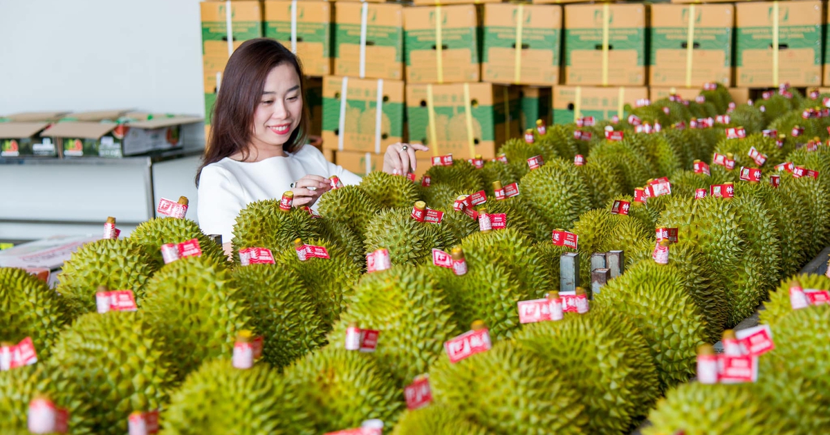 Đưa nông nghiệp Việt Nam vào top 15 thế giới năm 2030