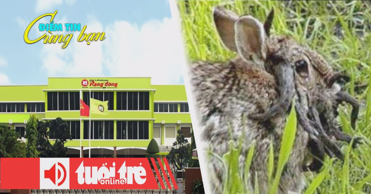 Điểm tin 8h: Mở thủ tục phá sản với Rạng Đông Holding; Thỏ ‘zombie’ mọc sừng xuất hiện ở Mỹ