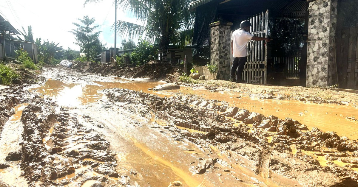 Vụ bạt đồi trồng sầu riêng, đất đá tràn vào nhà dân: Tạm dừng hoạt động múc đất