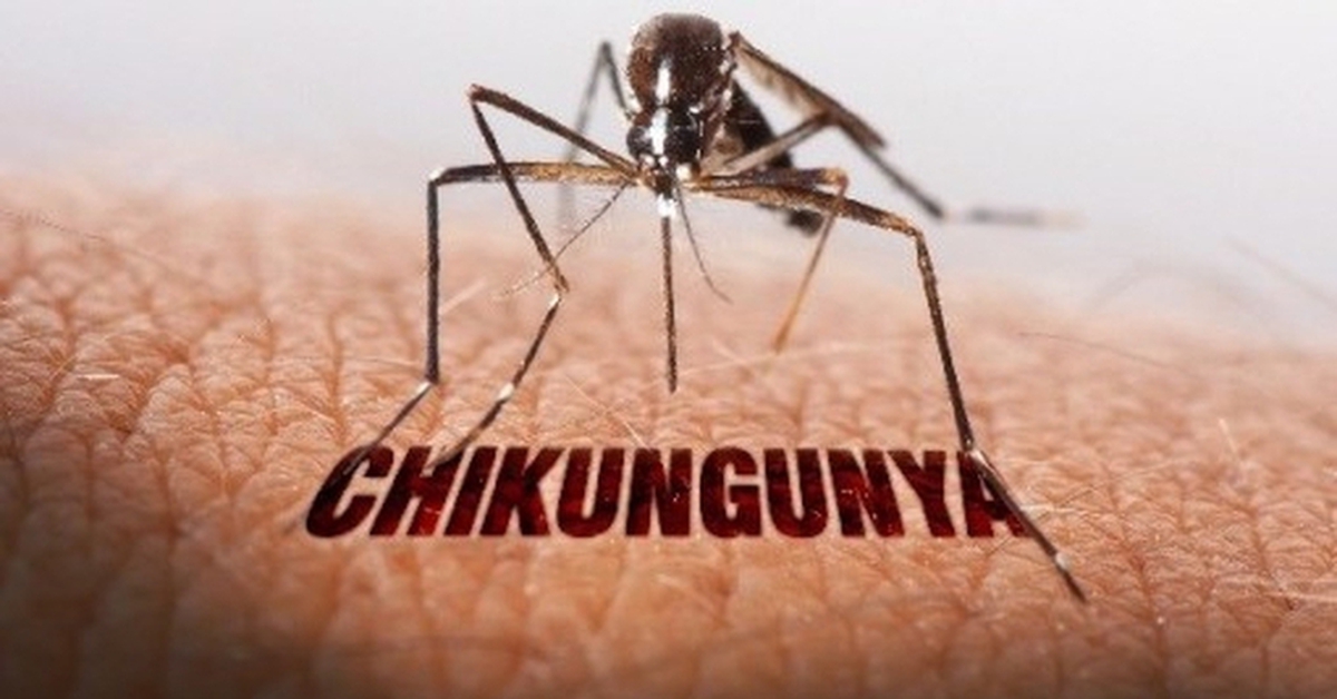 Tin tức sáng 17-8: TP.HCM đo thân nhiệt tại cửa khẩu phòng Chikungunya; Phong tỏa tài khoản SMC