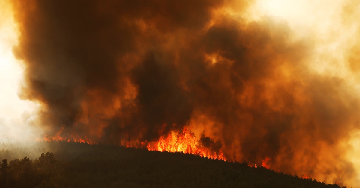 20 đám cháy rừng thiêu đốt Tây Ban Nha, huy động gần 2.000 binh sĩ