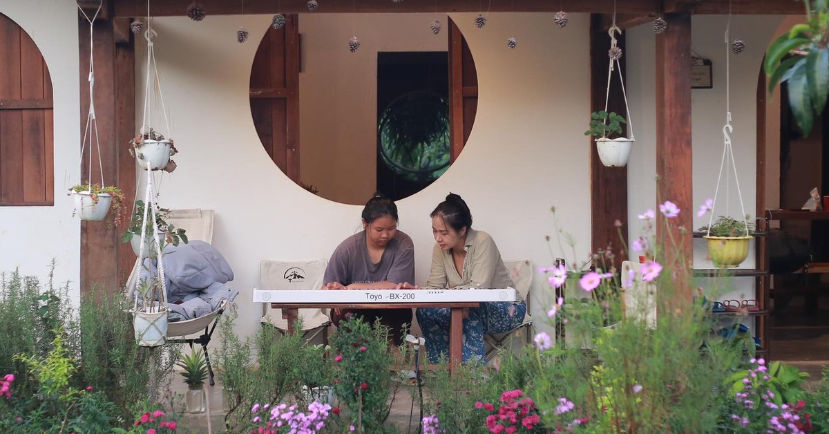 Vì sao nhiều người đầu tư homestay, farmstay thất bại chóng vánh?