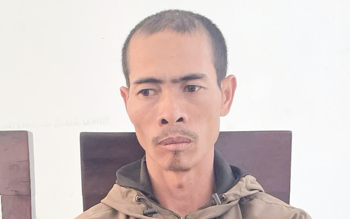 Chặt phá vườn cà phê của em vợ, anh rể nhận 2 năm 9 tháng tù