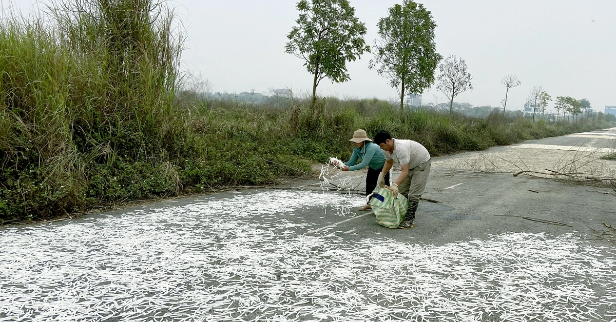 Sửa Luật Đất đai, khơi thông nguồn lực