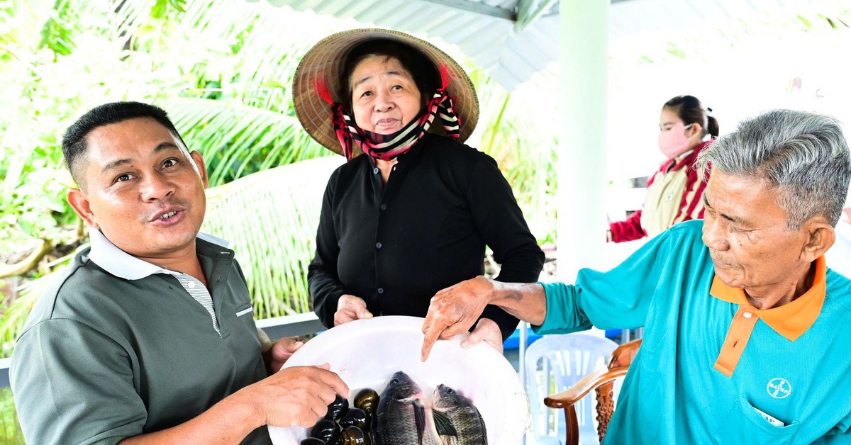 Về vùng cá đồng U Minh Thượng nghe dân kể chuyện ăn nên làm ra nhờ nuôi cá đồng