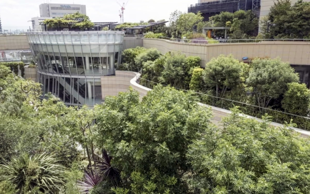 'Rừng thẳng đứng' hạ nhiệt cho đô thị