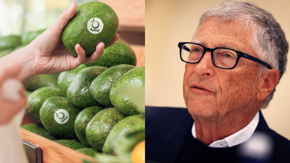 Có thật lớp phủ thực phẩm do tỉ phú Bill Gates hậu thuẫn tài trợ gây hại sức khỏe?