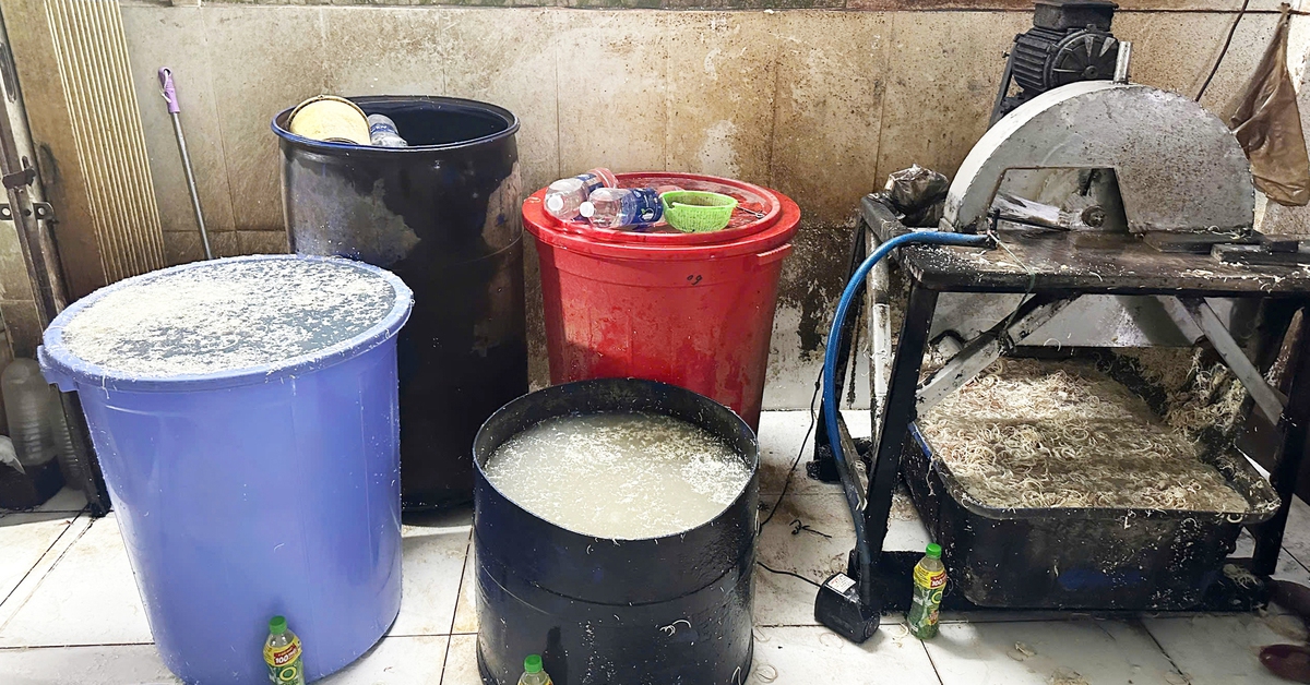 Phát hiện cơ sở sơ chế hoa chuối ở Đà Nẵng sử dụng hóa chất tẩy trắng