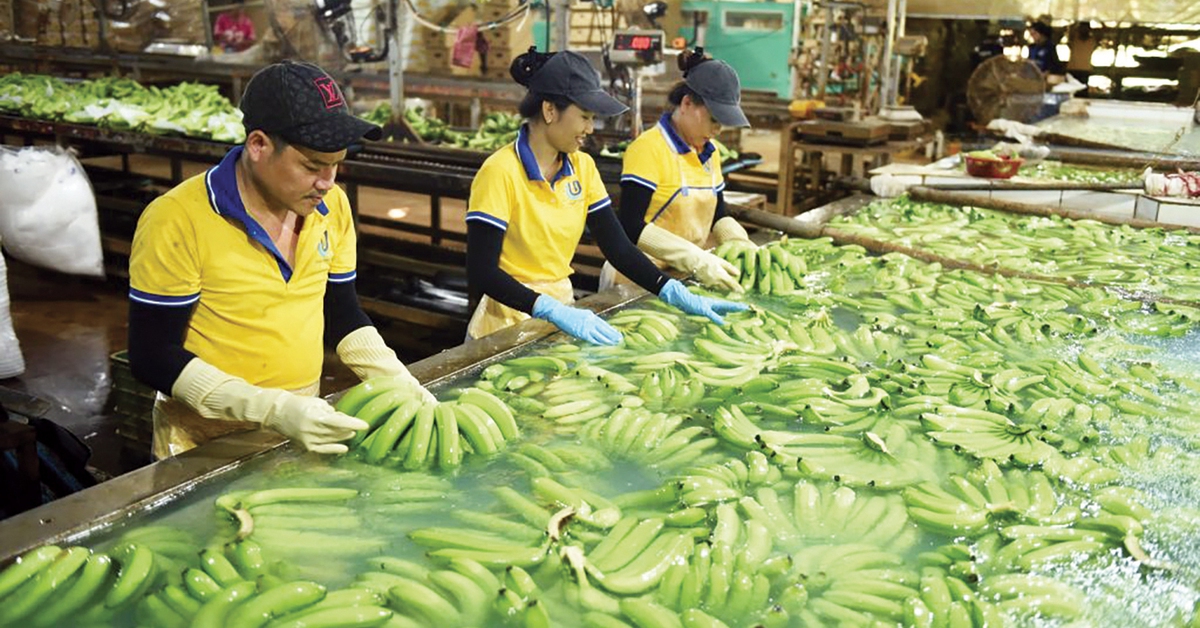 Những trái ngọt từ chuyển đổi xanh