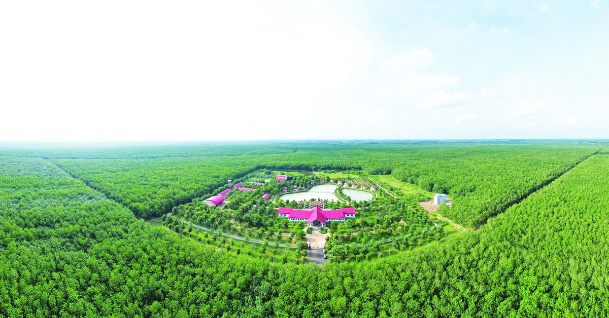 Tổng giám đốc VRG Lê Thanh Hưng: Chuyển đổi xanh là 'chìa khóa' vươn tầm thế giới