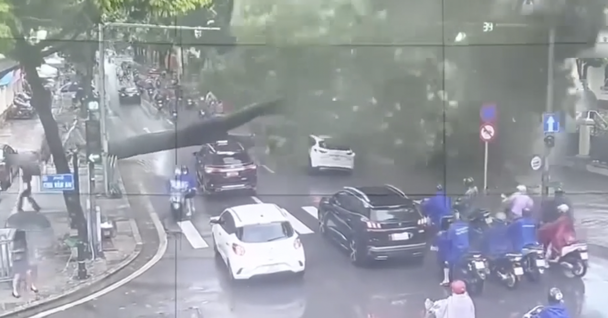 Cây cổ thụ đổ xuống phố Hà Nội đè trúng 2 ô tô, khuyến cáo người dân cẩn thận khi ra đường