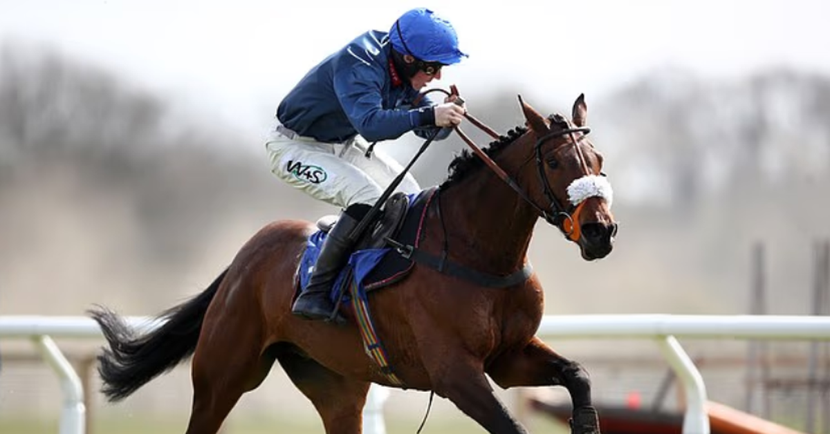 Ngựa đột quỵ, lao vào khán đài khiến hai người bị thương tại trường đua Cartmel