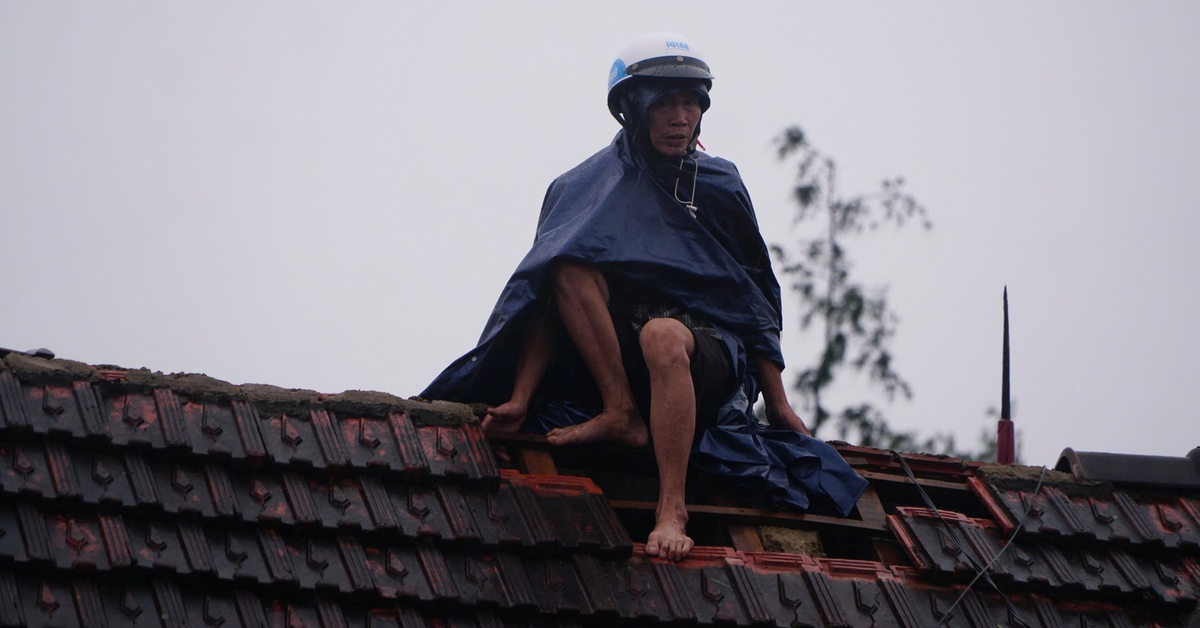 Gượng dậy sau bão dữ