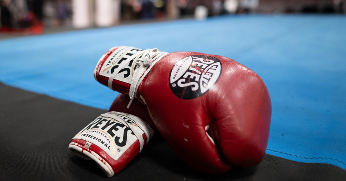 Nhật Bản cân nhắc cấm quyền anh