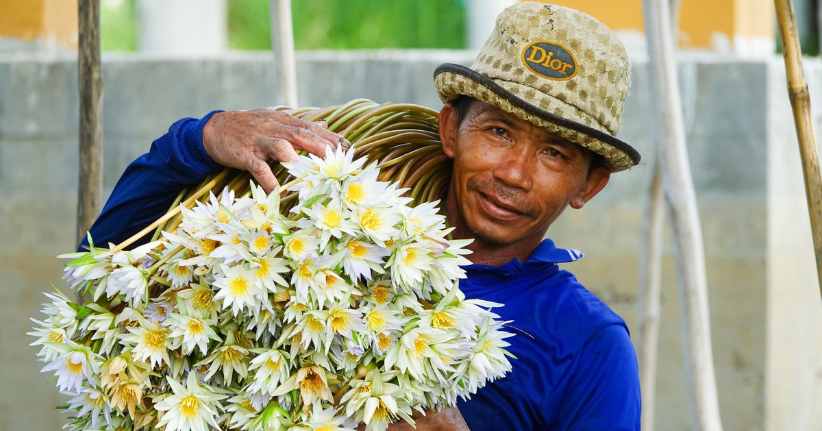 Dân đầu nguồn An Giang ‘săn’ cá linh, cá chốt, cua đồng, bông súng ma mùa nước nổi