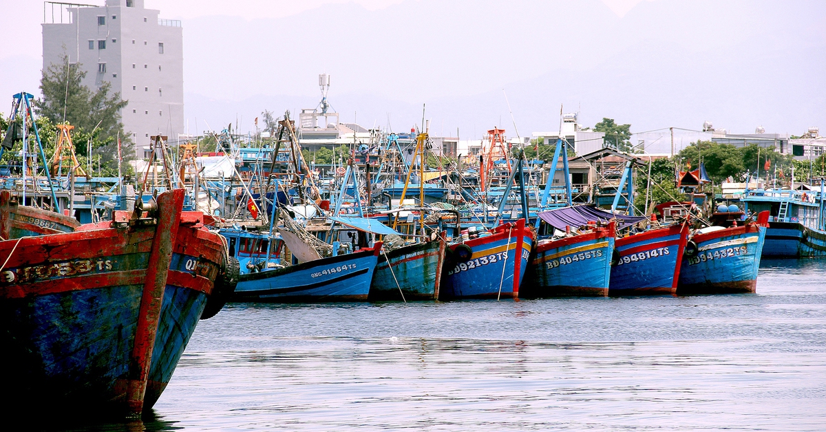 Xử lý tàu cá '3 không', có nơi phạt ngư dân tới 10 tỉ đồng