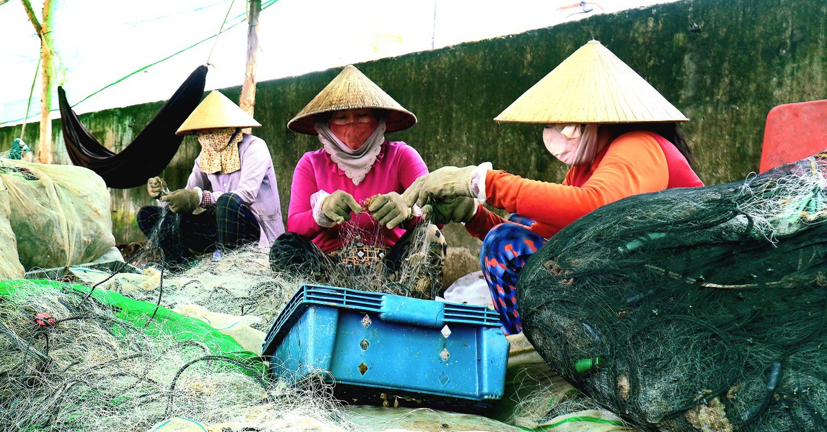 Cà Mau sắp hỗ trợ sinh kế cho hơn 12.000 hộ khó khăn