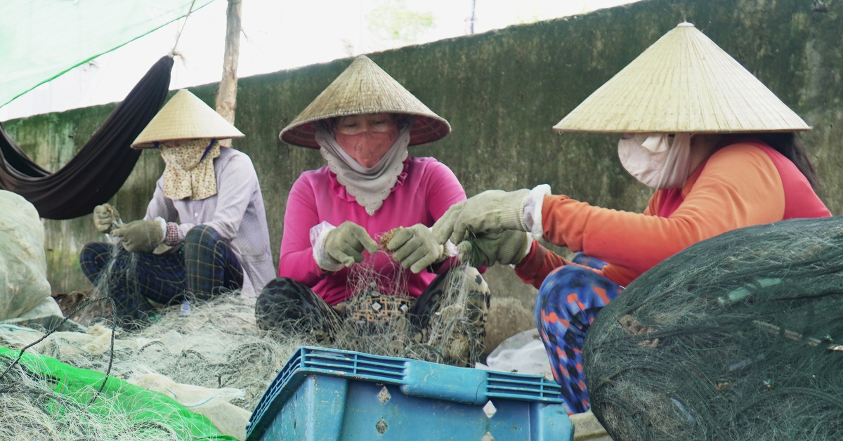 Cà Mau sắp hỗ trợ sinh kế cho hơn 12.000 hộ khó khăn