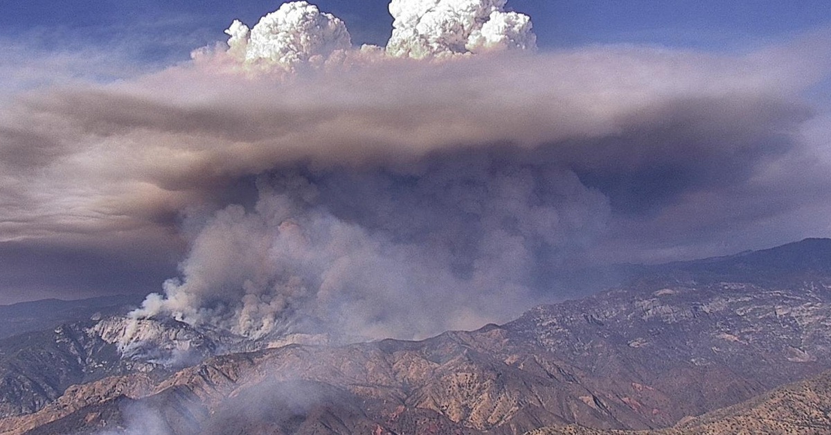 Cháy rừng đe dọa quần thể cây cổ thụ 2.000 năm tuổi ở Mỹ