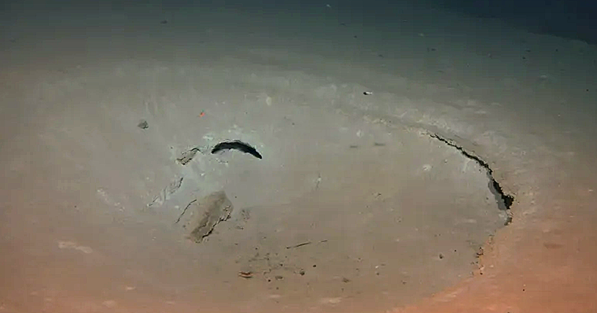 Phát hiện ‘thành phố ngầm’ dưới Thái Bình Dương, lịch sử Trái đất phải viết lại?