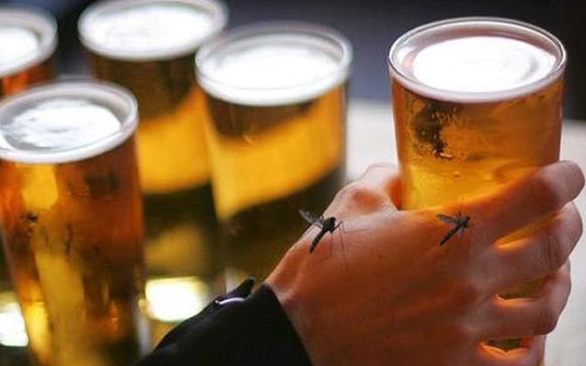 Nghiên cứu gây sốc: Muỗi khoái người uống bia và mới 'yêu'