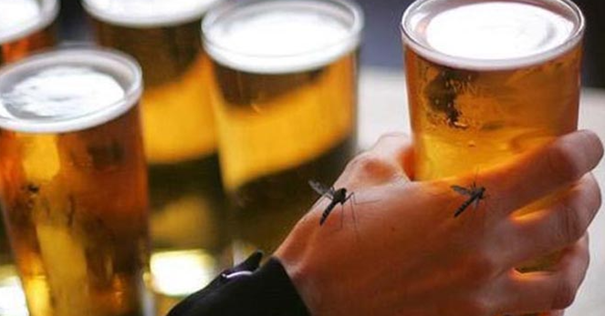 Nghiên cứu gây sốc: Muỗi khoái người uống bia và mới 'yêu'