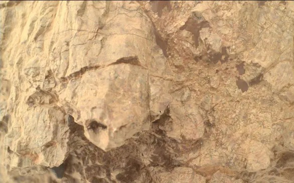 NASA phát hiện 'rùa' trên sao Hỏa