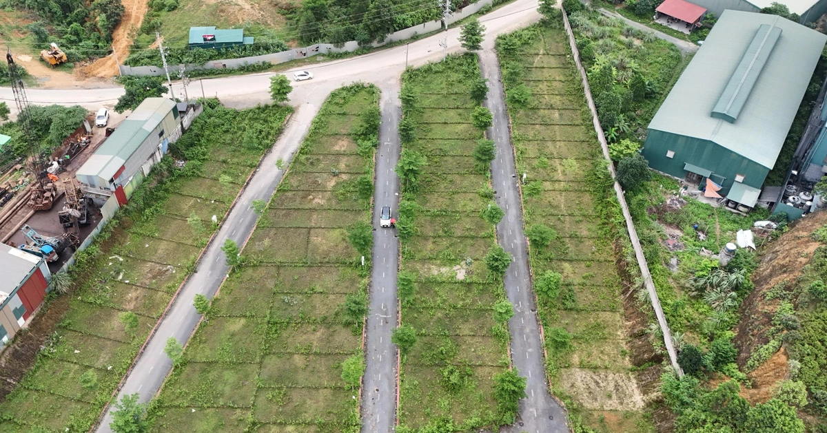 tuoitre.vn