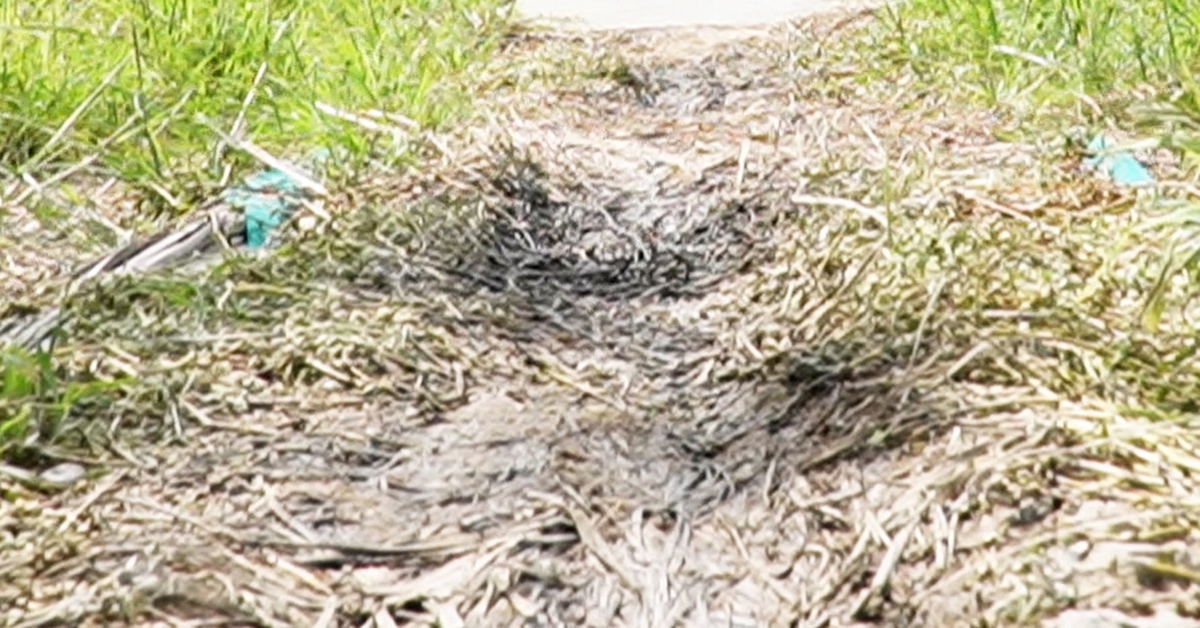 Đang đường bê tông phá thành đường đất, dân kêu trời suốt 3 năm