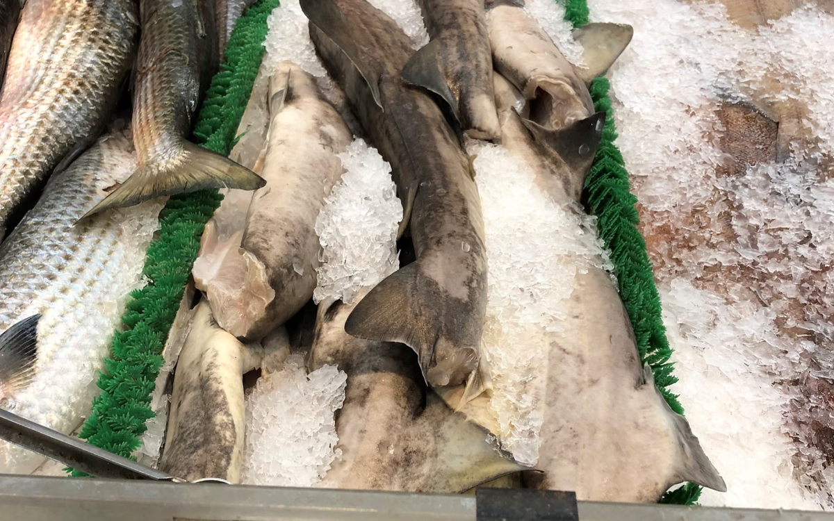 93% thịt cá mập bán tại Mỹ bị dán nhãn sai, siêu thị bán cả loài nguy cấp