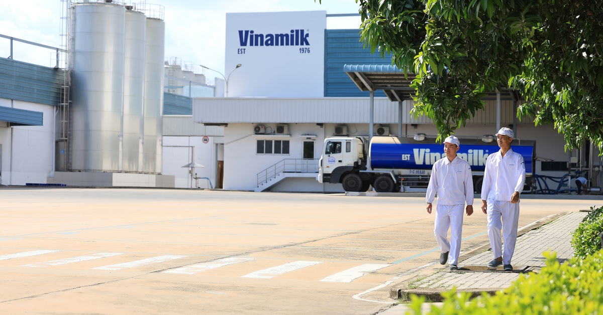 Chiếc nắp chai góp phần giúp Vinamilk tăng trưởng doanh số xuất khẩu