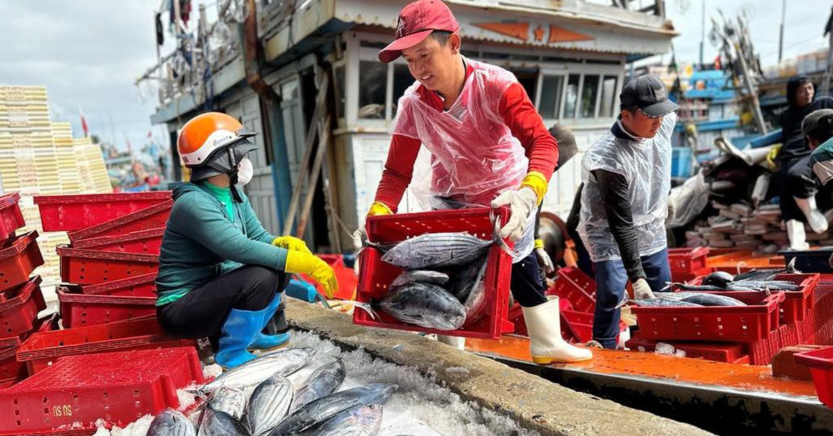 Mỹ từ chối công nhận 12 nghề khai thác hải sản, Bộ Công Thương gửi đề nghị xem xét