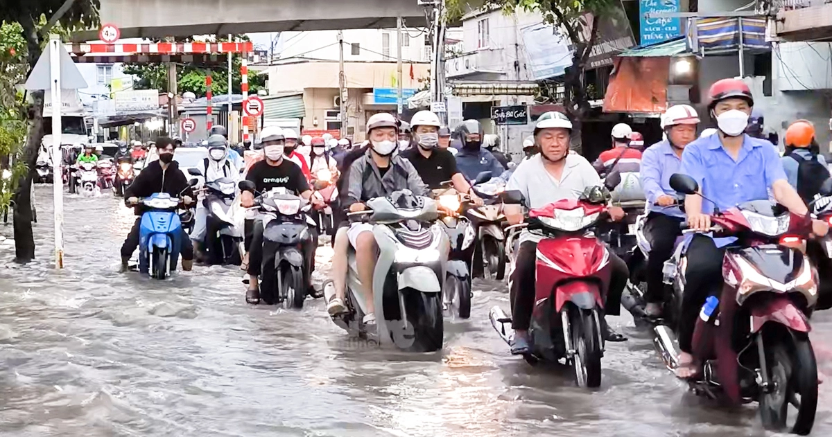 tuoitre.vn