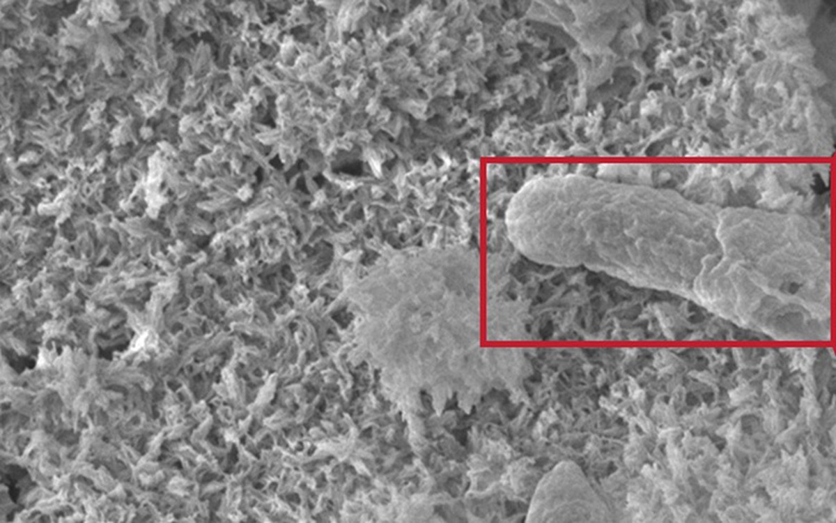 Tạo ra loại xi măng mới vừa xây nhà, vừa có thể thắp sáng hàng chục bóng đèn