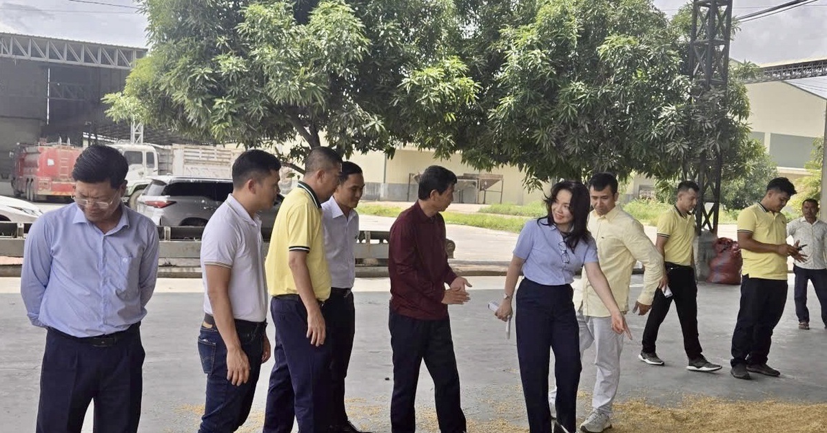 PVCFC tăng tốc mở rộng thị phần tại Campuchia