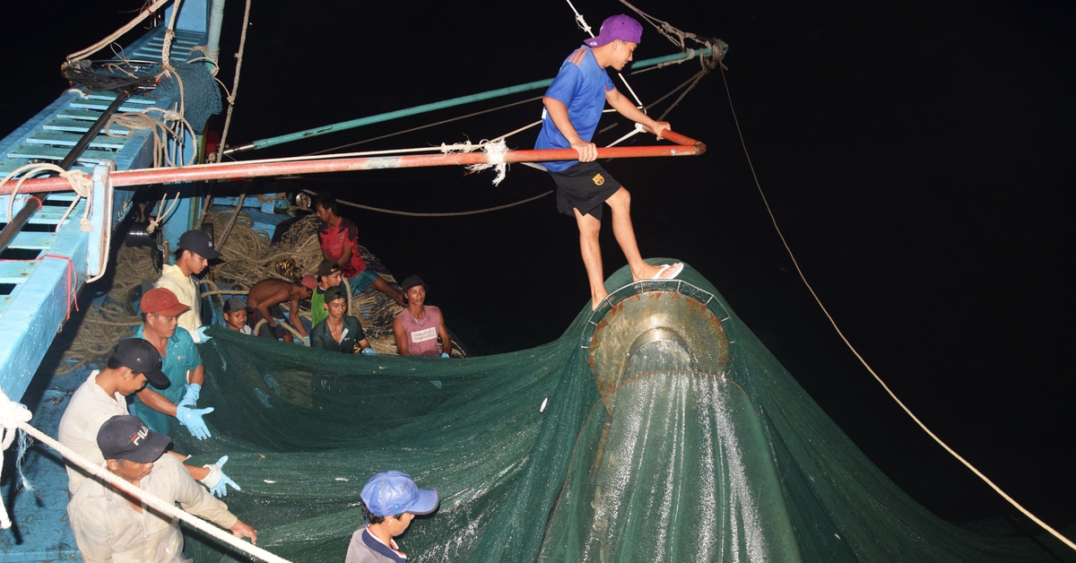 Ngư dân biển Tây Nam nói gì về lệnh cấm 12 loài hải sản vào thị trường Mỹ?