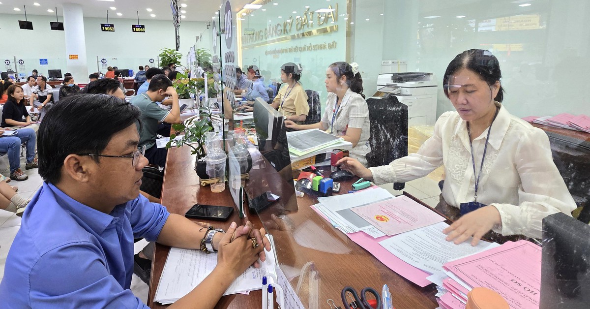 TP.HCM tiếp tục cử 206 viên chức giúp 168 xã, phường cấp sổ hồng