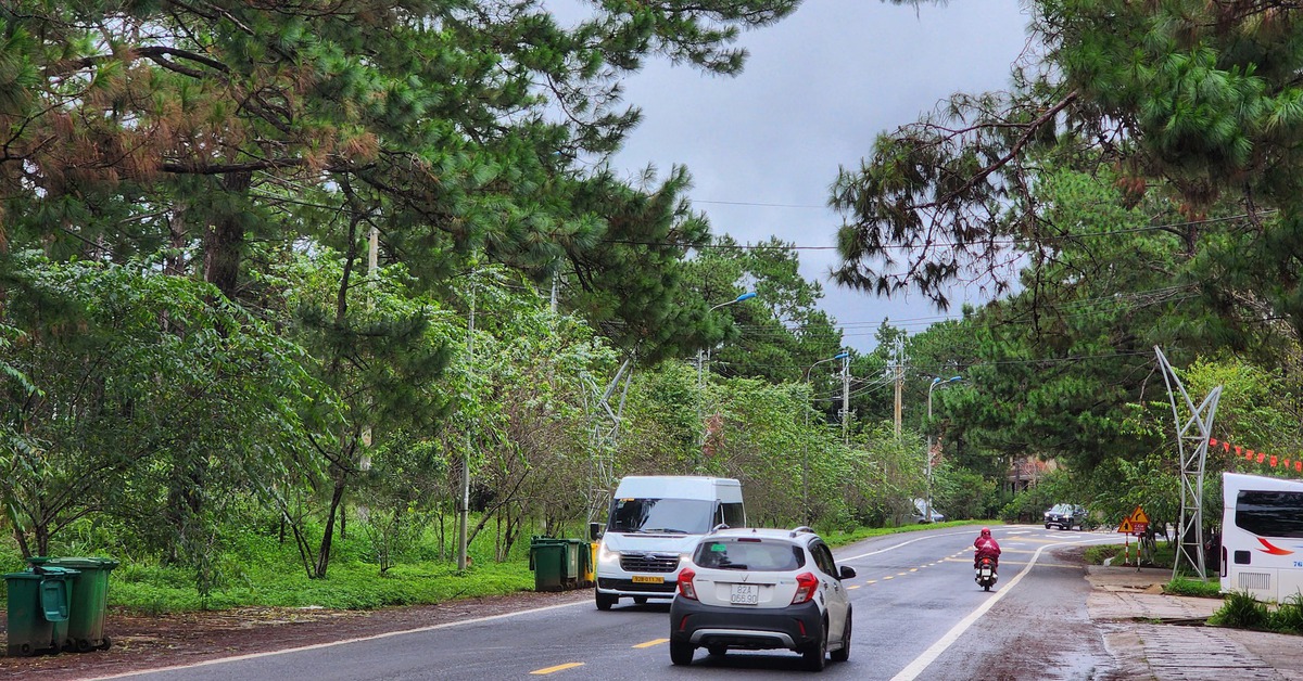 Quảng Ngãi 'tìm' nhà đầu tư 3 dự án khu đô thị 'tỉ đô' ở Măng Đen