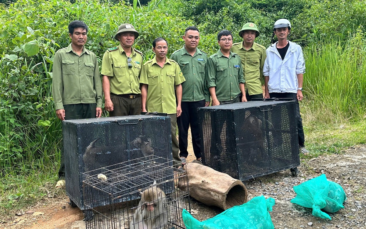 Thả 6 loài động vật hoang dã về rừng Chư Yang Sin
